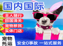 遥墙机场快递国际宠物托运 【国